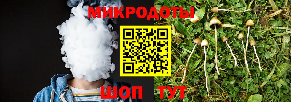 Псилоцибиновые грибы прущие грибы  Вход с VPN  Россия 