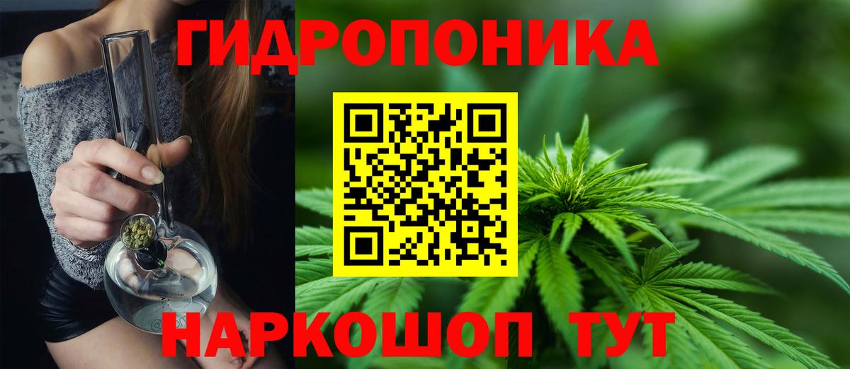 Бошки марихуана планчик Россия